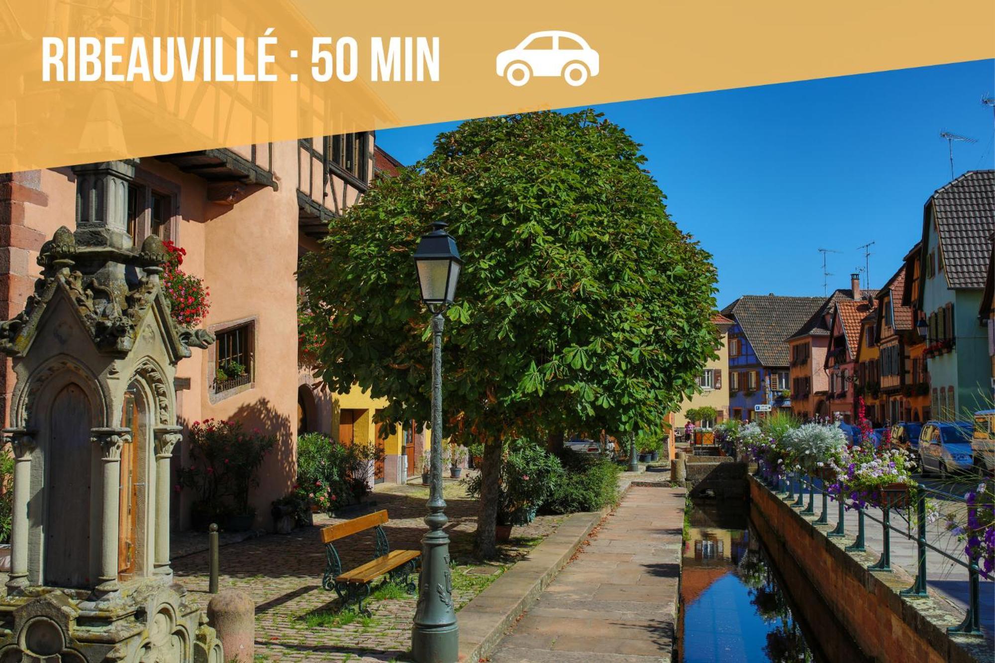 Lit Rond Tres Grand Et Confortable - Garage Possible Ou Parking Gratuit Rue - Gare 2 Min Et Ville 4 Min En Tram - Ciel Etoile - Netflix Videoprojecteur - Luxe Et Evasion Štrasburk Exteriér fotografie