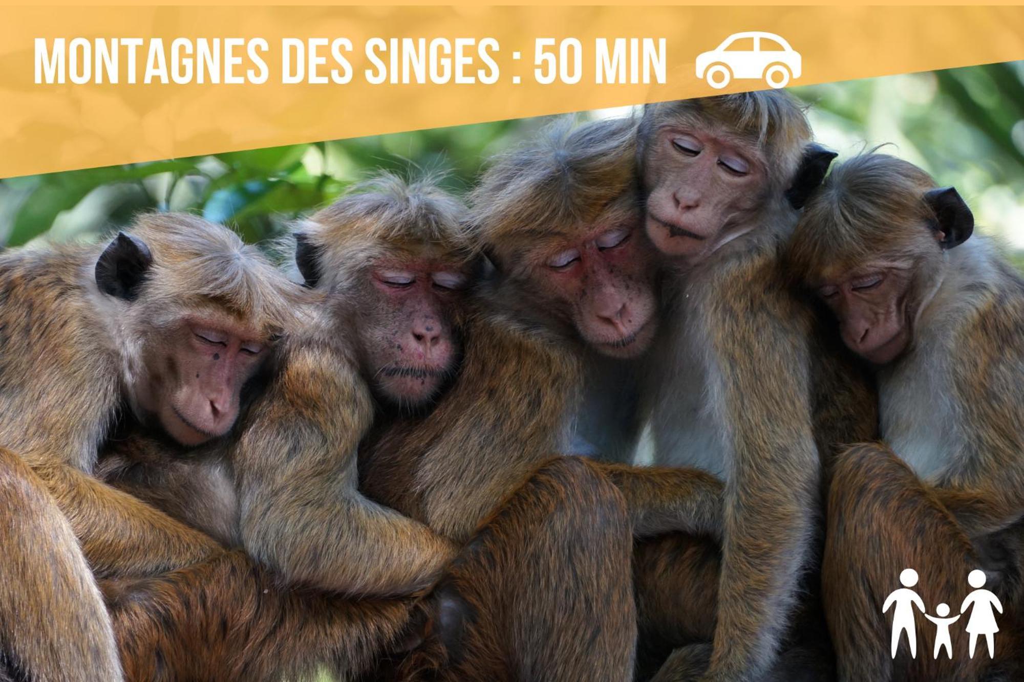 Lit Rond Tres Grand Et Confortable - Garage Possible Ou Parking Gratuit Rue - Gare 2 Min Et Ville 4 Min En Tram - Ciel Etoile - Netflix Videoprojecteur - Luxe Et Evasion Štrasburk Exteriér fotografie