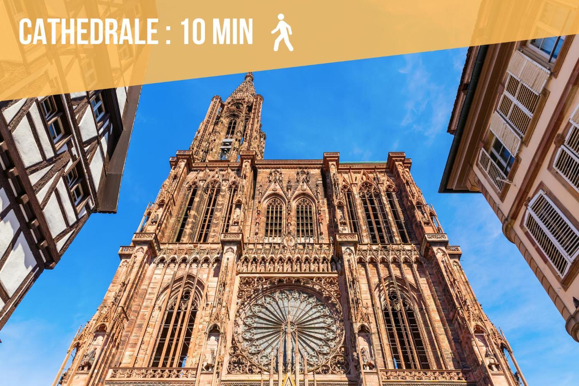 Lit Rond Tres Grand Et Confortable - Garage Possible Ou Parking Gratuit Rue - Gare 2 Min Et Ville 4 Min En Tram - Ciel Etoile - Netflix Videoprojecteur - Luxe Et Evasion Štrasburk Exteriér fotografie